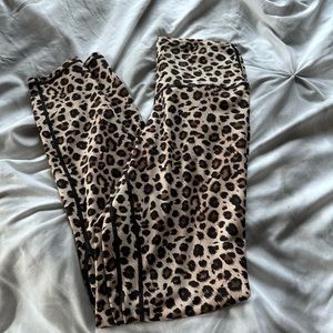 Colorful Koala leggings